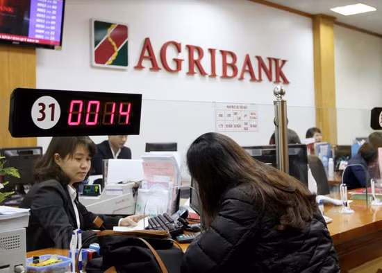 Agribank khẳng định vai trò "đầu tàu" trong Chương trình Nông thôn mới ảnh 2