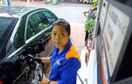 Tăng giá điện, xăng dầu đã được cân nhắc thận trọng ảnh 1