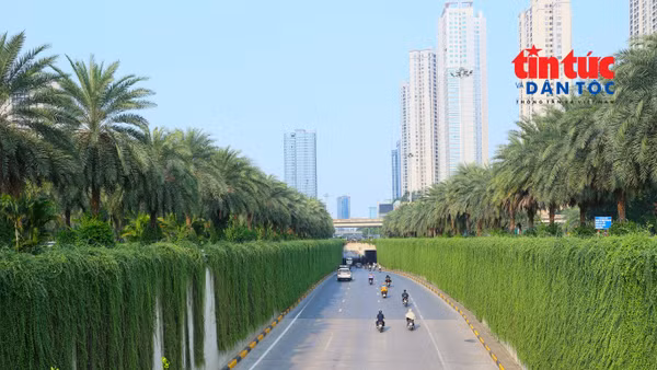 Cận cảnh thí điểm phủ xanh cầu vượt, hầm chui ở Hà Nội