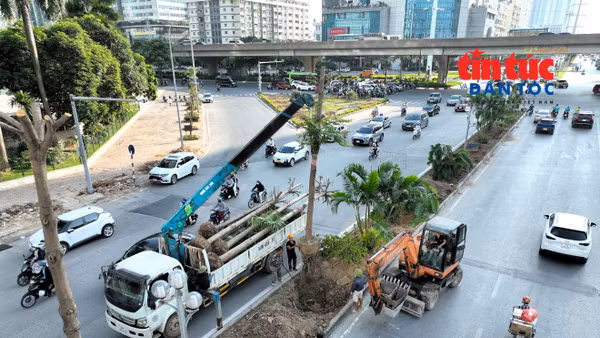'Hạ giải' cây xanh để xây hầm chui thứ 8 ở Hà Nội