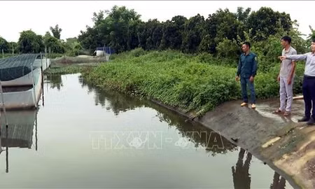 Những tấm gương đổi mới tư duy nông nghiệp tại Ninh Bình