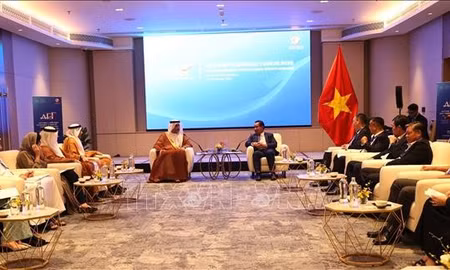 TP Hồ Chí Minh thúc đẩy hợp tác năng lượng với UAE