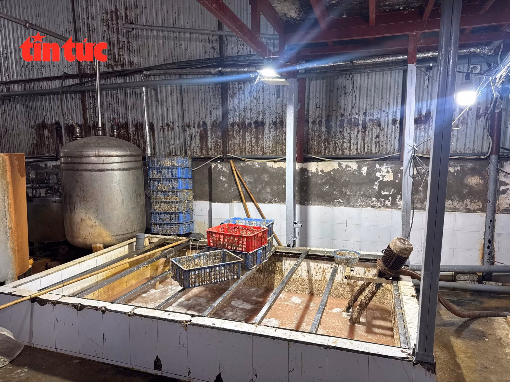 Lộ diện 'kho lạnh tử thần': 59 tấn lòng lợn bốc mùi chờ tuồn ra thị trường