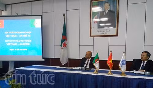 Tăng cường hợp tác kinh tế-thương mại Việt Nam-Algeria ảnh 1