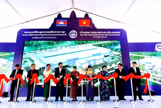 Vinamilk là thương hiệu hàng đầu Việt Nam ảnh 4
