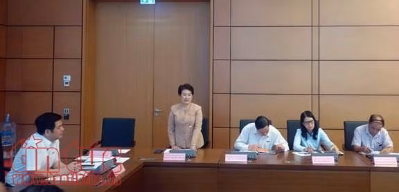  Quốc hội cần giám sát việc hỗ trợ phát triển vùng đồng bào dân tộc thiểu số, miền núi ảnh 1