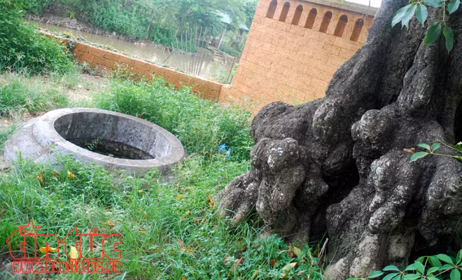 Chùa Nôm - ngôi chùa cổ nổi tiếng đất Hưng Yên ảnh 12