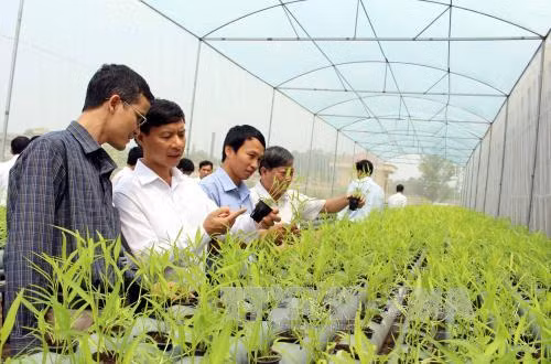Chuyên gia Bỉ: Tương lai nông nghiệp Việt Nam phải là công nghệ cao ảnh 2