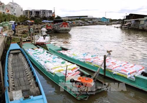Bạc Liêu đầu tư gần 1.350 tỷ đồng phát triển du lịch ảnh 1