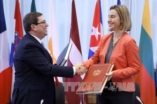 Cuba và EU họp vòng 3 về đối thoại nhân quyền ảnh 1