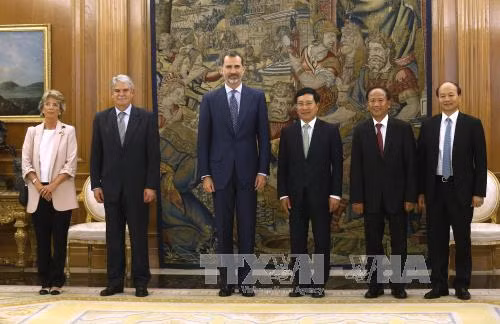 Phó Thủ tướng Phạm Bình Minh hội kiến Nhà vua Tây Ban Nha Felipe VI ảnh 2