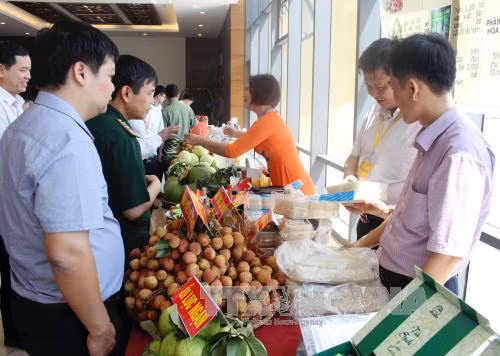 Thông quan vải thiều Bắc Giang sang Trung Quốc không quá 20 phút ảnh 2