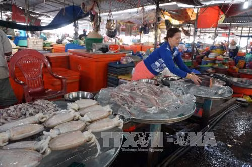 Chỉ số giá tiêu dùng tháng 5 giảm 0,53% ảnh 1