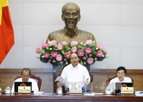 Thủ tướng: Sớm có biện pháp khắc phục tình trạng giá thịt lợn 'lao dốc' ảnh 1