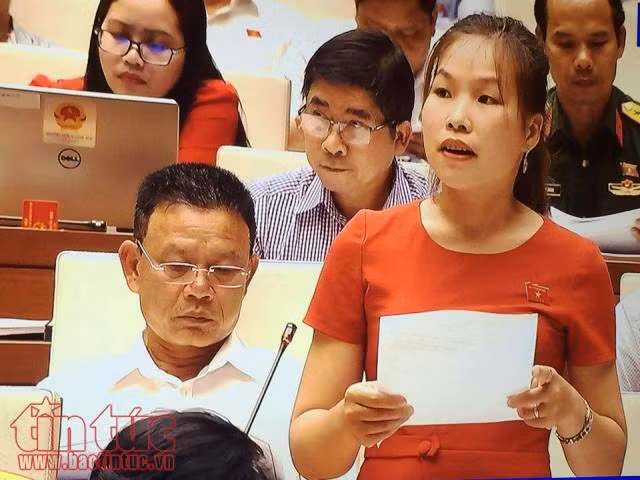 Tạo cơ sở huy động vốn hỗ trợ doanh nghiệp nhỏ và vừa ảnh 1