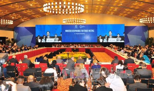 APEC 2017: Xây dựng một hệ thống thương mại đa phương vững mạnh, minh bạch ảnh 2
