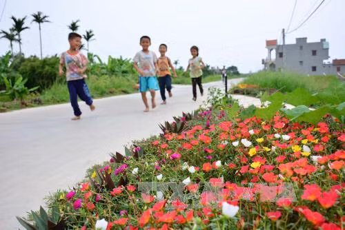 Những con đường hoa ở làng quê Nam Định đẹp như mơ ảnh 2