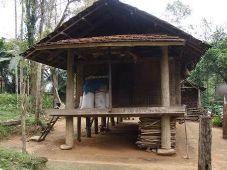 Làng Rêu hoang vắng, đìu hiu vì “bệnh lạ” _2