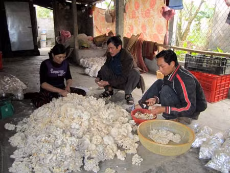 Xây dựng nông thôn mới ở giáo phận Bùi Chu ảnh 1