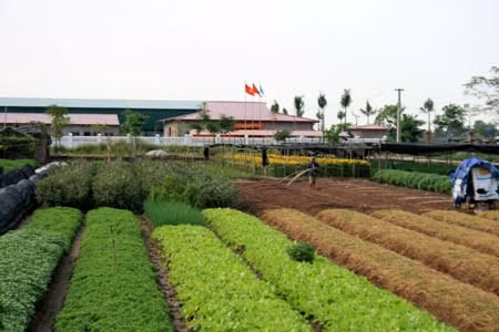 Đưa KH&CN đến nông thôn miền núi: Cần cơ chế phối hợp đồng bộ ảnh 1