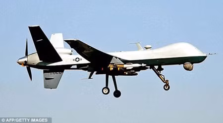 Thủ lĩnh số hai của al-Qaeda bị tiêu diệt ảnh 1