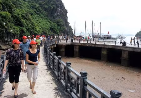 Quảng Ninh siết chặt công tác quản lý kinh doanh du lịch vịnh Hạ Long ảnh 2