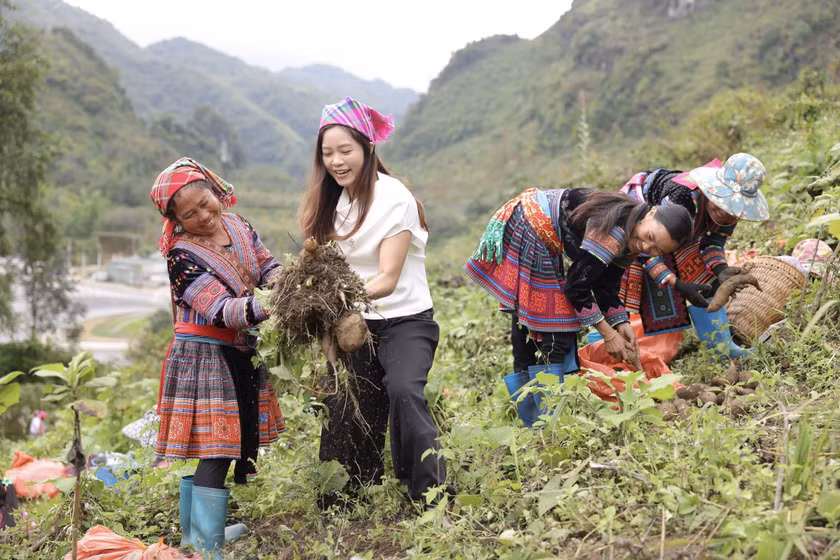 Thương mại điện tử mở rộng thị trường cho sản vật vùng cao