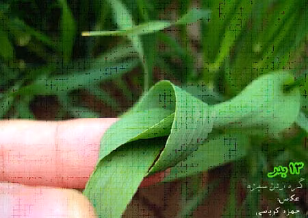 Tết ở xứ “Phiên chợ Batư” ảnh 3