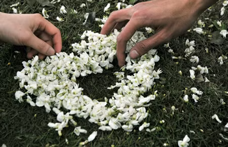 Hoa sưa lại trắng ngần Hà Nội ảnh 14