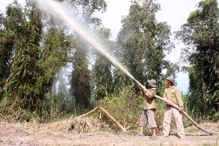 Chủ động phòng chống cháy rừng mùa khô ảnh 1