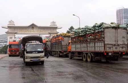 Phát triển khu kinh tế cửa khẩu:“Trông giỏ bỏ thóc” ảnh 1