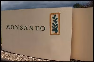 Monsanto chấp nhận dàn xếp vụ kiện về chất độc da cam ảnh 1