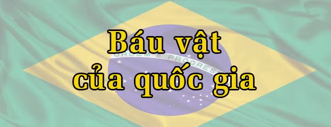Vĩnh biệt huyền thoại bóng đá Pelé ảnh 8