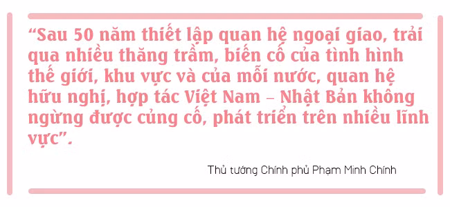 Quan hệ Việt Nam - Nhật Bản: 50 năm thấu hiểu, đồng hành và phát triển ảnh 16