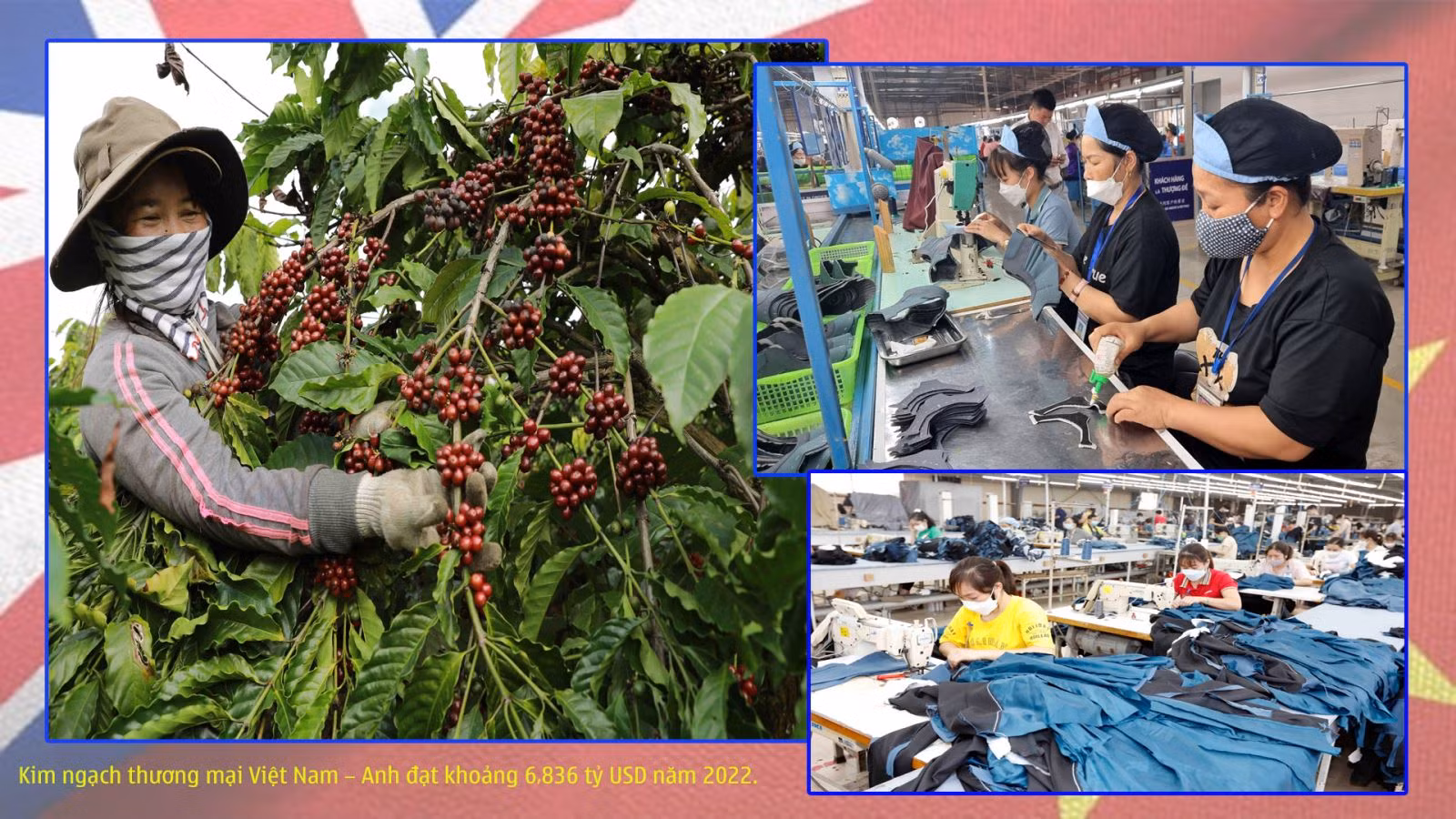 Quan hệ Việt Nam – Vương quốc Anh: Nửa thế kỷ vun đắp và phát triển ảnh 4