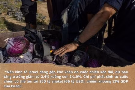 Một năm giao tranh giữa Israel và Hamas đẩy Gaza rơi vào thảm hoạ ảnh 6