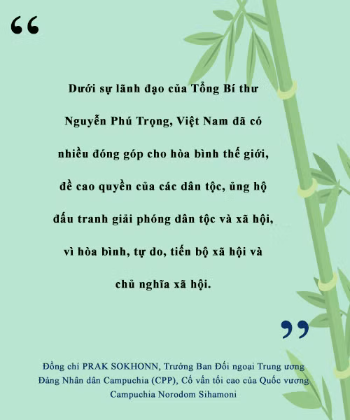 Dấu ấn ngoại giao của Tổng Bí thư Nguyễn Phú Trọng trong mắt bạn bè quốc tế ảnh 8