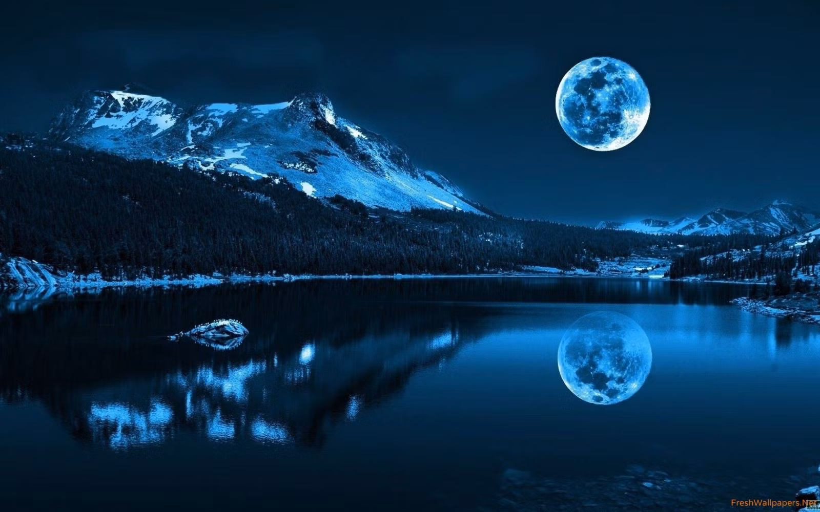 Thiên sử thi vũ trụ qua đá Mặt trăng từ tàu Apollo ảnh 8