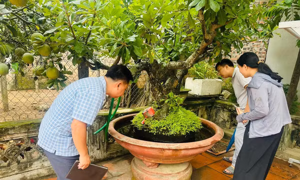 Sau mưa, dịch sốt xuất huyết dễ bùng phát