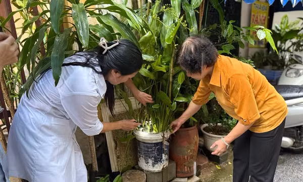 Hà Nội tích cực vệ sinh môi trường phòng dịch sốt xuất huyết