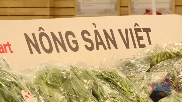 Để hàng Việt trụ vững trên 'sân nhà'