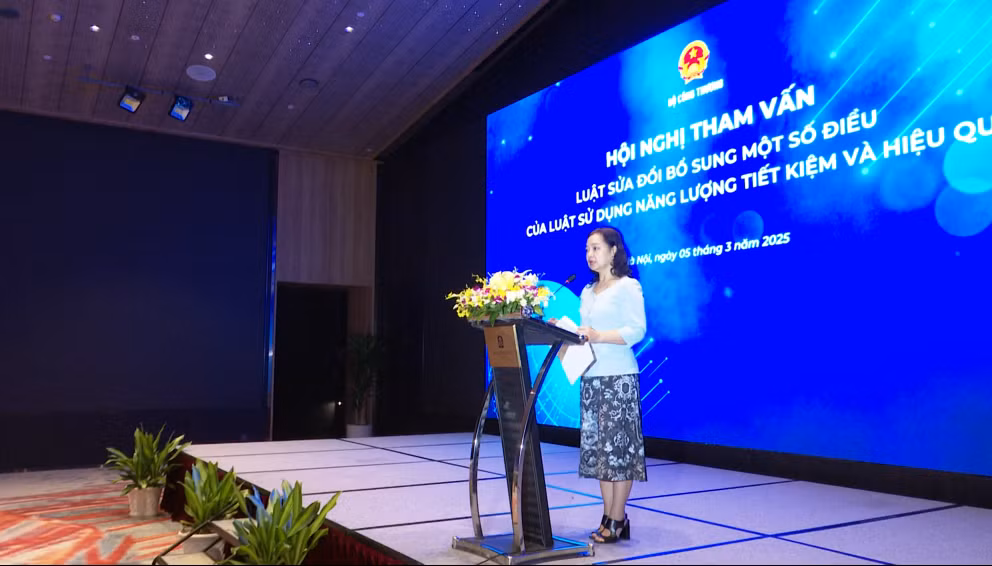 Sửa luật để nâng cao hiệu quả sử dụng năng lượng và phát triển bền vững