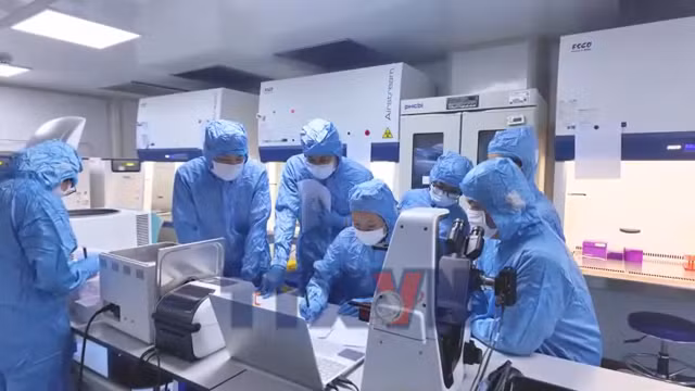 NQ 57- Bài toán đưa tế bào gốc trung mô vào điều trị lâm sàng
