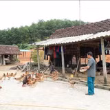 Vốn chính sách mở lối thoát nghèo tại vùng biên giới Sơn Hồng