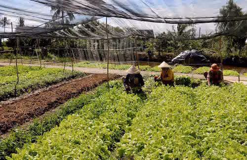 Tín dụng ngân hàng thúc đẩy phát triển kinh tế - xã hội ảnh 2