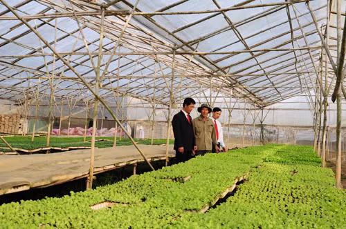 Tiếp sức cho nông nghiệp phát triển bền vững ảnh 1