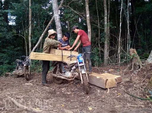 Thủ tướng yêu cầu làm rõ vụ việc được báo Tin Tức phản ánh ảnh 1