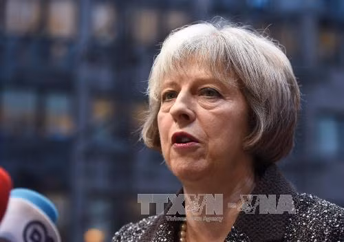 Bà Theresa May sẽ đưa Anh rời EU thành công ảnh 1