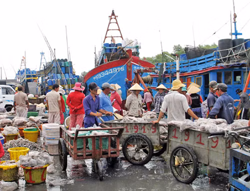 Gò Công Đông làm giàu từ biển ảnh 1