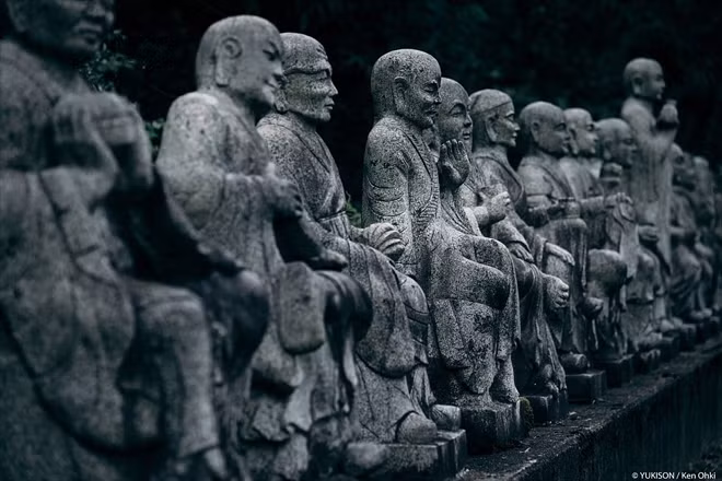 "Rừng tượng ma" rùng rợn ở Nhật Bản ảnh 8